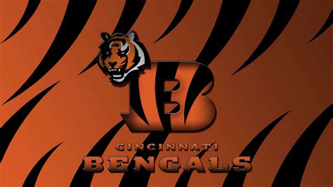 HD Cincinnati Bengals Wallpapers - PixelsTalk