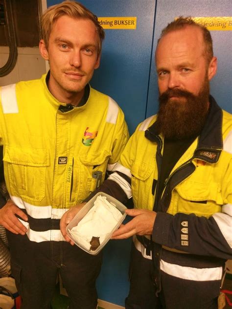 Flaggermus landet på oljeplattform, fløy helikopter tilbake