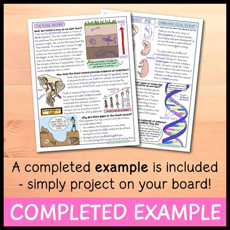 Fossil Evidence Notes at Douglas Borba blog