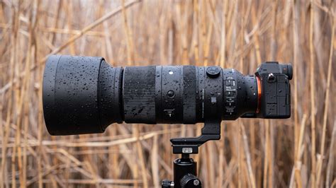 60-600-dgdn-firstlook-featured | SIGMA Blog