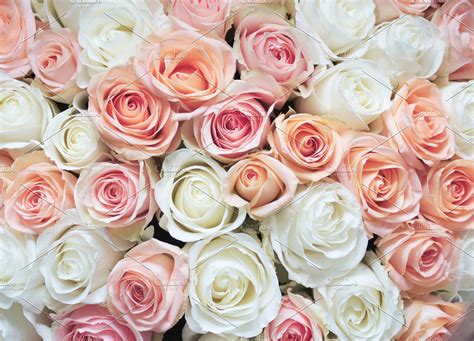 Pink And White Roses Background