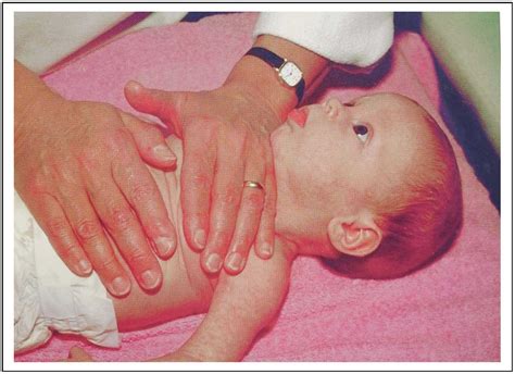 Infant’s Sigh Breathing Matters—The Role of the Hering-Breuer Deflation ...