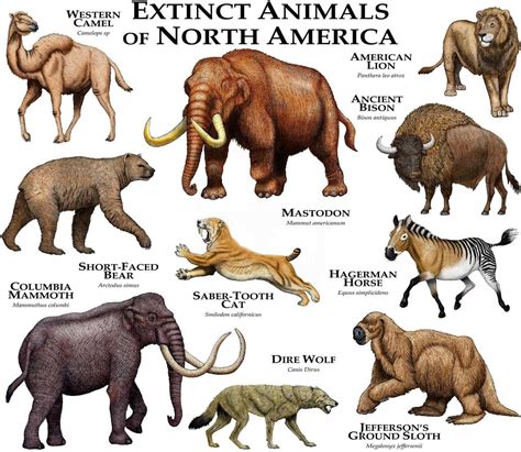 Extinct Mammals of North America Poster Print - Etsy | Extinct animals, Ancient animals ...