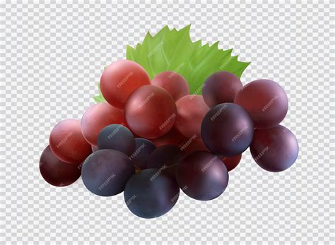 Premium Vector | Bunch of grape fruits illustrations
