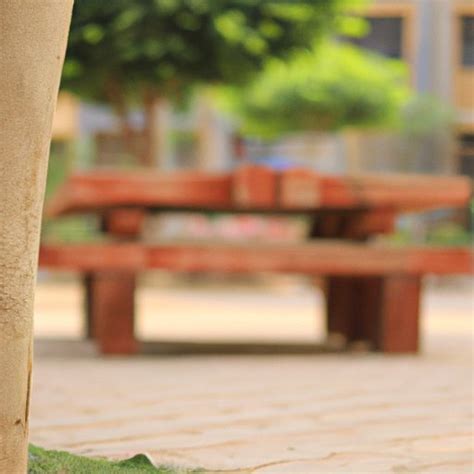 What is a Focal Point in Photography? Unlocking the Benefits of ...