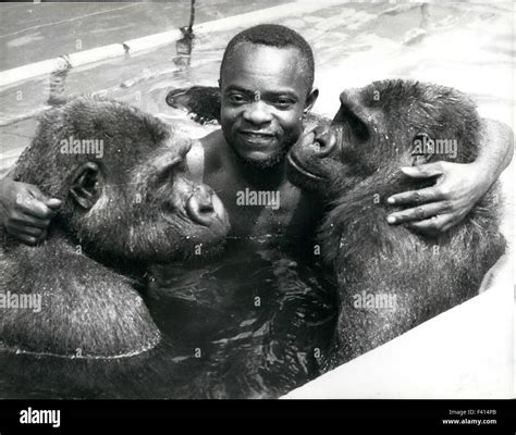 Gorilla apes his keeper. 10th Jan, 1975. and learns to swim: Water play ...