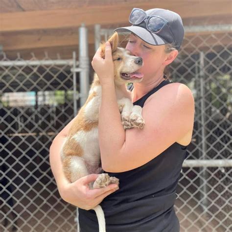 Board of Directors - Potcake Pals Rescue