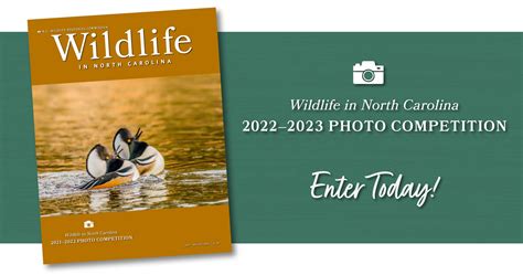 Wildlife in North Carolina 2022-23 Photo Competition Announced (North Carolina Wildlife ...