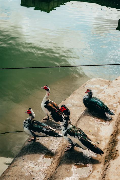 Ebony+Feet+Pictures+Soles Photos, Download The BEST Free Ebony+Feet+Pictures+Soles Stock Photos ...