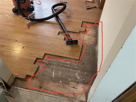 Cat pee soaked through hardwood floors in new house : r/HardWoodFloors