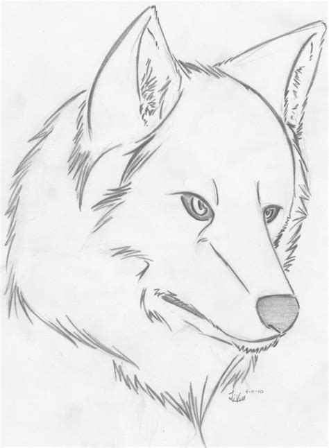 Cool Wolf Drawing Ideas at viiemersynblog Blog