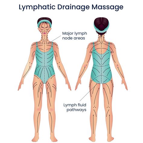 Where to Get Lymphatic Drainage Massage: Top Healing Spots Revealed - Suite Massage Chairs ...