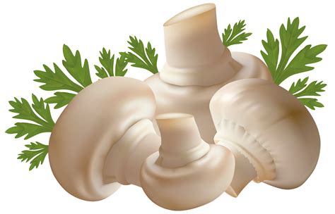 Mushrooms Clipart Food at Anthony James blog