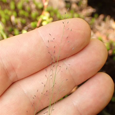 Atlantic Canada Conservation Data Centre (@atlantic_canada_cdc ...