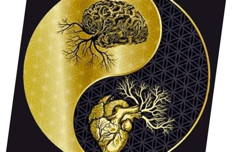 Bailey Jay | Dopple.ai