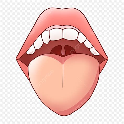 Mouth And Tongue Clipart Vector, Human Mouth Tongue Organ, Tongue ...
