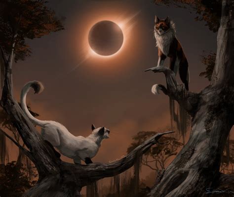 Warrior Cats Sol