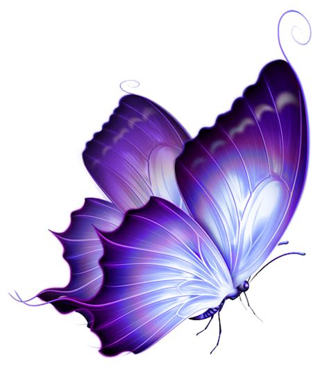Butterflies Transparent Image