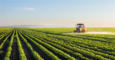 Top 10 Agriculture Companies in Pakistan - Feb 2026