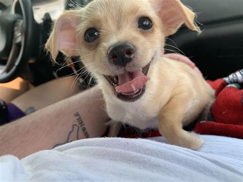 Banana came into our lives two weeks ago, and she’s been smiling ever ...