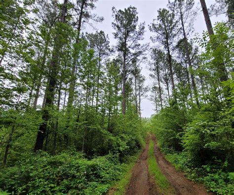 Tiny Nipples, Alabama - GPS Trail Map, Conditions & Difficulty | onX Offroad