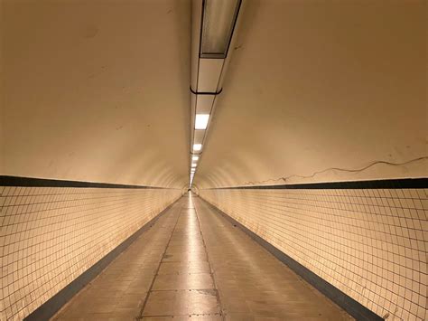 division from tunnel vision | elis glyn parry