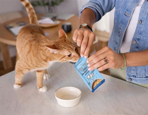 MEOW MIX WET CAT FOOD (Free Shipping) | Chewy