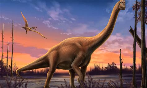 Images Of Dinosaurs In Real Life at Louis Mitchell blog