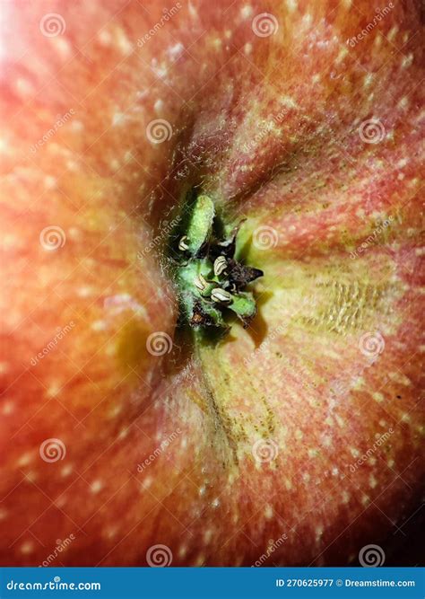 Apple, Green, Red, Wallpaper, Fruit, Natural, Apples, Micro, Stock ...