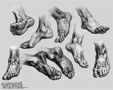 drawing art Feet human Anatomy foot reference tutorial toes references ...