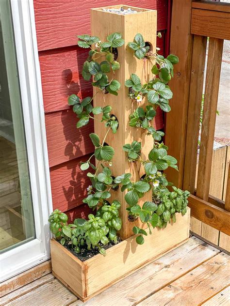 Hanging Strawberry Planter at Andrew Capone blog