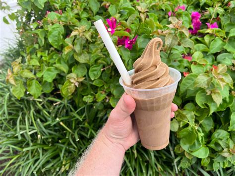 Beat the Heat With This New Frozen Coffee Treat! - MickeyBlog.com