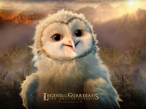 Download Legend Of The Guardians Movie Legend Of The Guardians: The ...