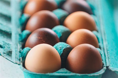 An Egg's Expiration Date May Not Mean the End of Your Egg's Lifespan ...