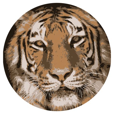 MORSE ELEMENTARY SCHOOL