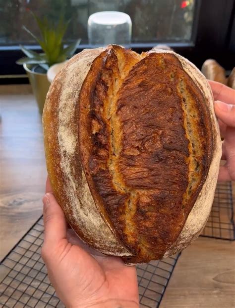 Kartoffel Dinkel Brot "Wake & Bake" - Jo Semola