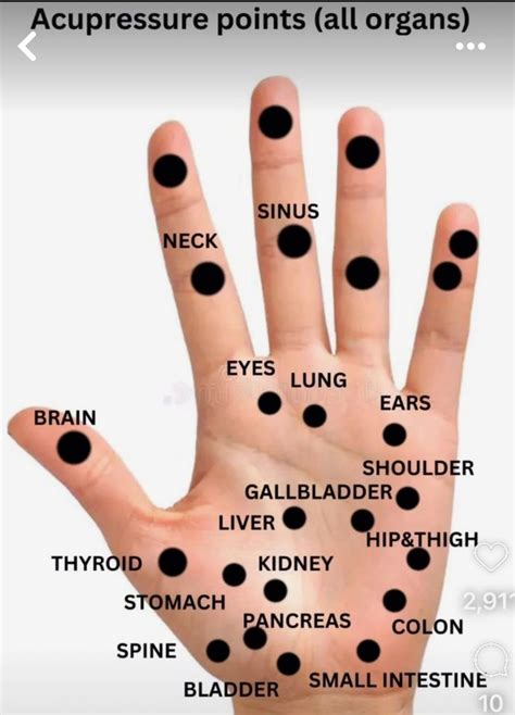 Hand Chart Of Reflexology