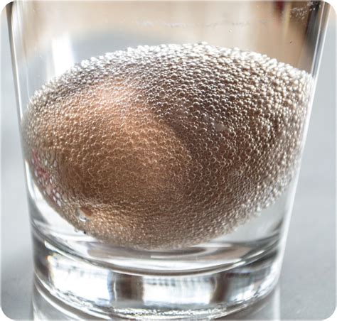 Soft Shelled 🏐Bouncy Raw 🐣Egg Kids 🔬⚗️⚖️ Science 101 🎥 Series 🎇 | Montessori From The Heart