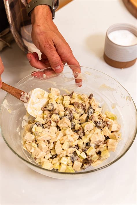 Pecan & Apple Chicken Salad Recipe - Wyse Guide