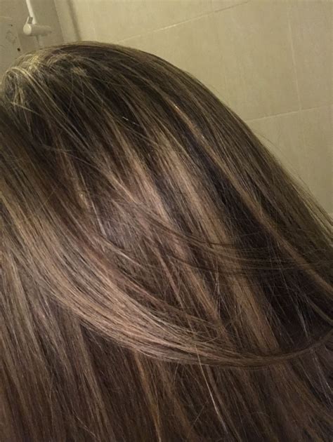 Pin by Tracey Mills on Hair | Hair streaks, Brunette hair with ...
