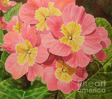 Pink Primrose Art for Sale - Fine Art America