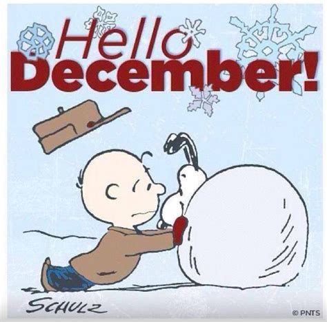 When Is December 1St