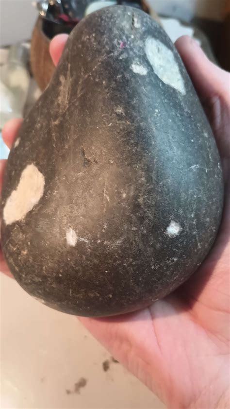 Very heavy black rock I found while walking on Lake Ontario. There are a few chunks of white ...
