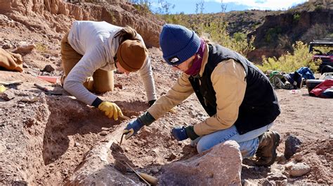 Mammoth tusk found at Texas Chihuahuan Desert ranch