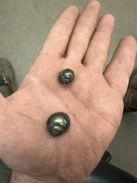 Pyrite fossils. Found em in an underground coal mine about 1000’ down and a few miles into the ...