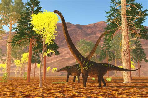 12 Herbivore Dinosaurs That Fed on Plants - A-Z Animals