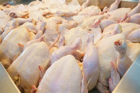 Storing Frozen Chicken and How to Freeze It Properly | Fish n’ Chix ...