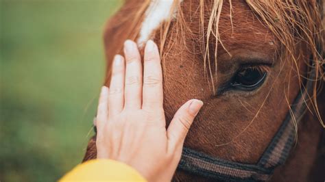 English Idioms - 18 Common Phrases