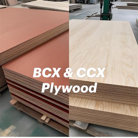 BCX vs. CCX Plywood: Understanding the Differences and Best Uses in ...