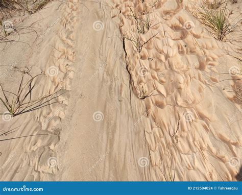 Dried water stream floor stock photo. Image of sand - 212504024